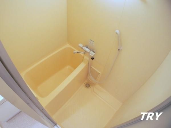 �y�o�X�z�@