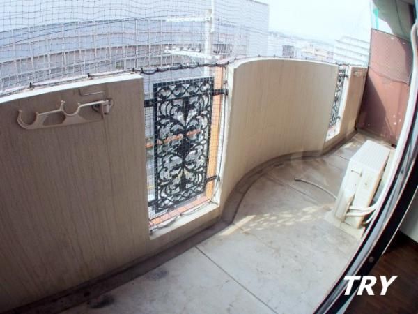 �y�o���R�j�[�z�@