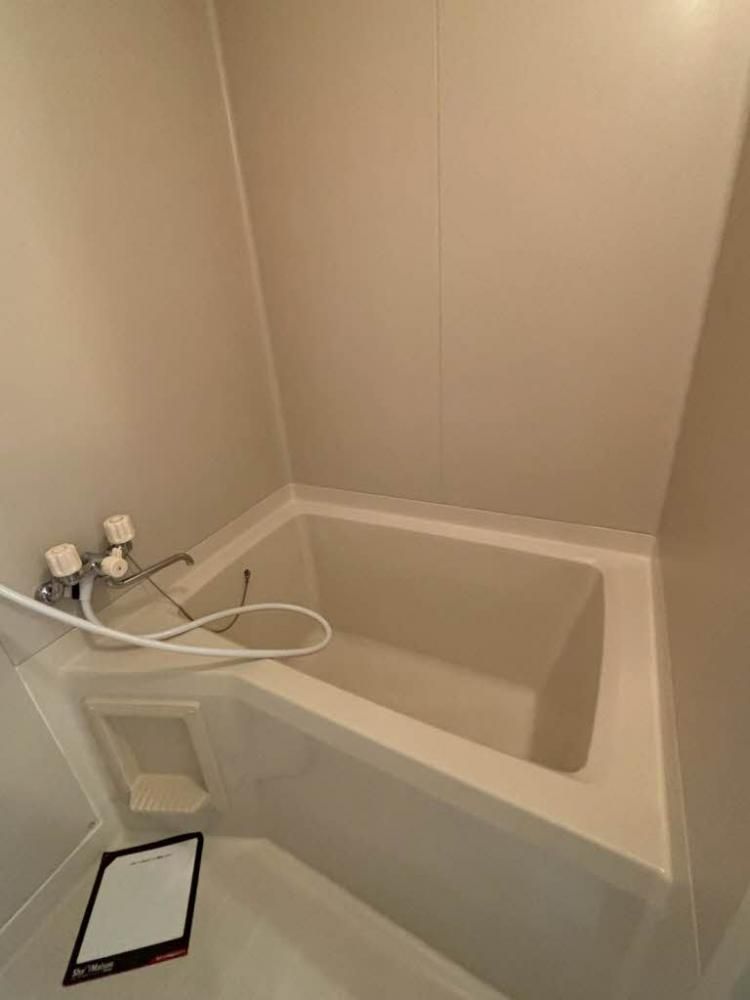 �y�o�X�z�@