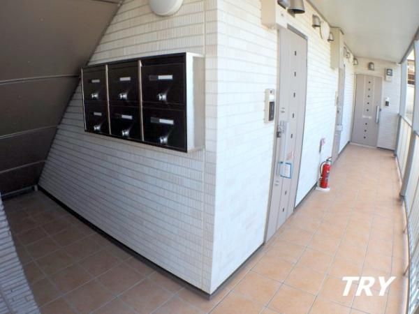 �y���̑����L�����z�@