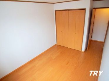 �y�Q���z�@�m���@6.5��(����)