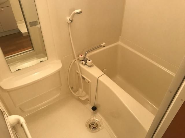 �y�o�X�z�@