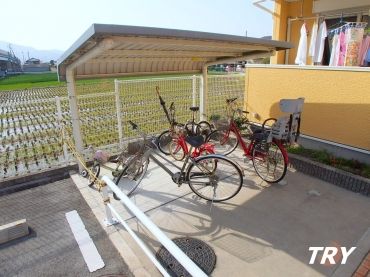 �y���̑����L�����z�@