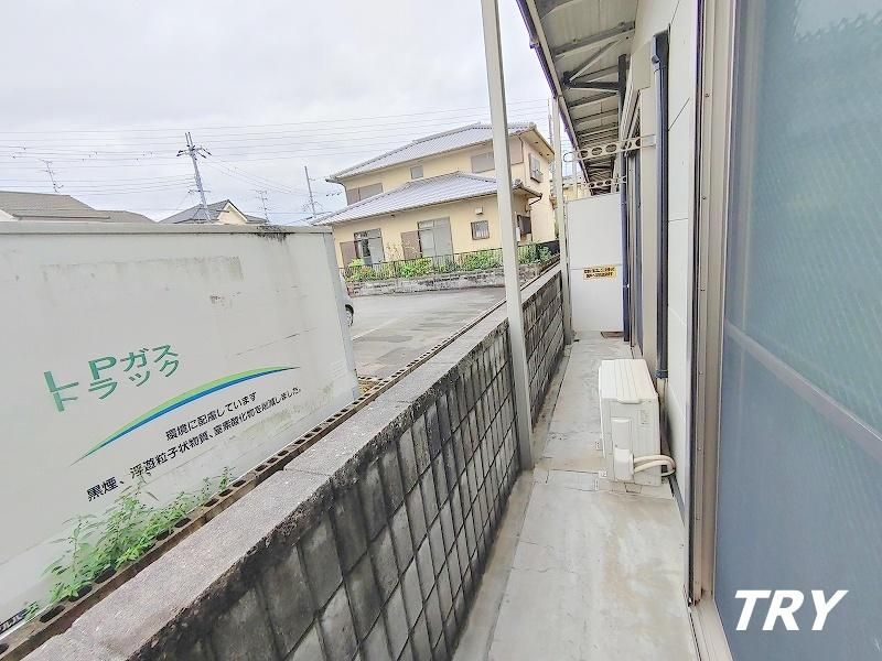 yz@eX