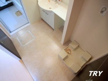 �y���ʏ��z�@���L�X�Ƃ������ʎ���