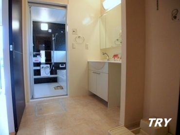 �y���ʏ��z�@���L�X�Ƃ������ʎ���