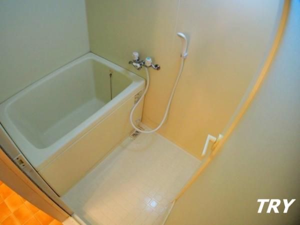 �y�o�X�z�@