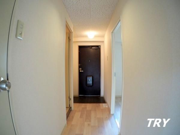 �y���ցz�@