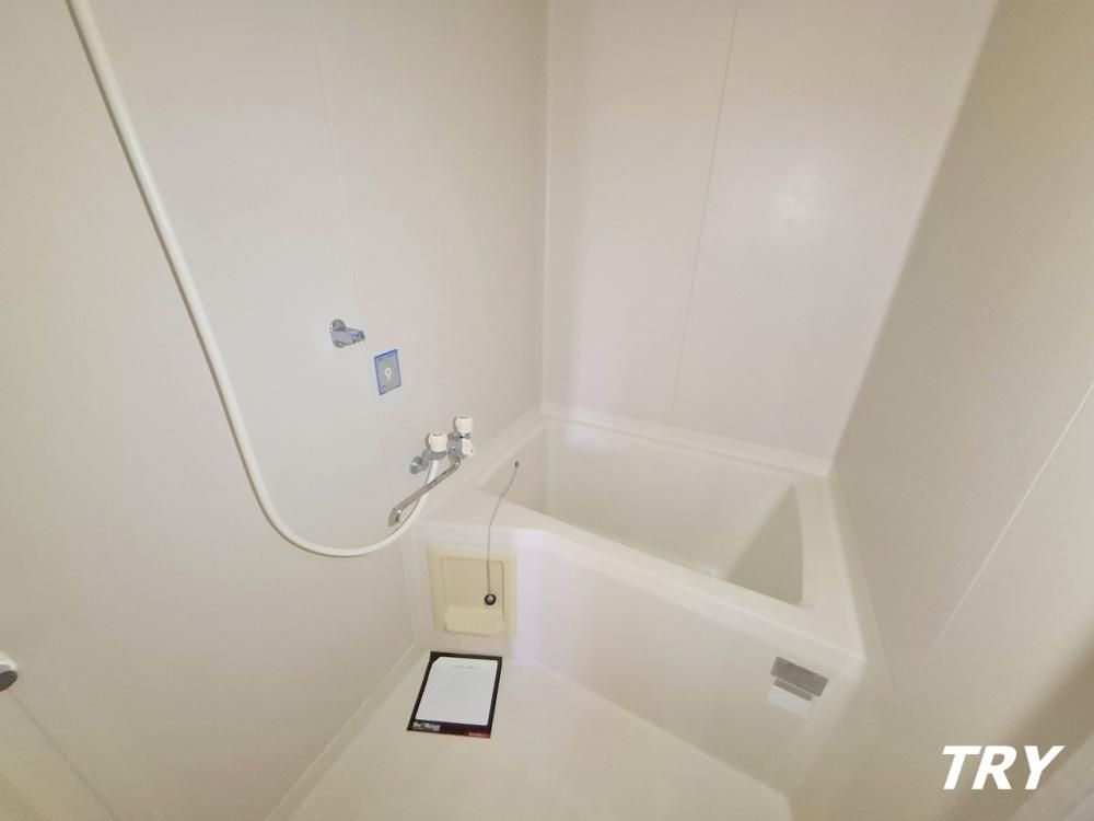 �y�o�X�z�@