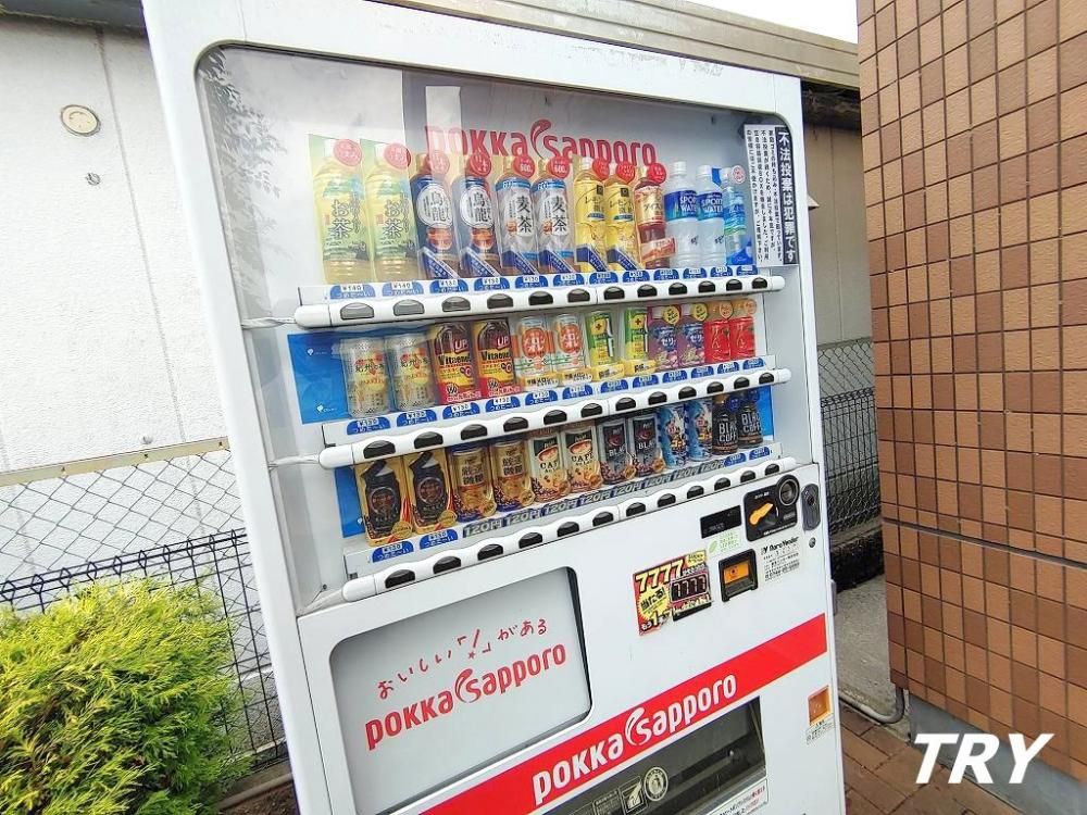�y���̑����L�����z�@