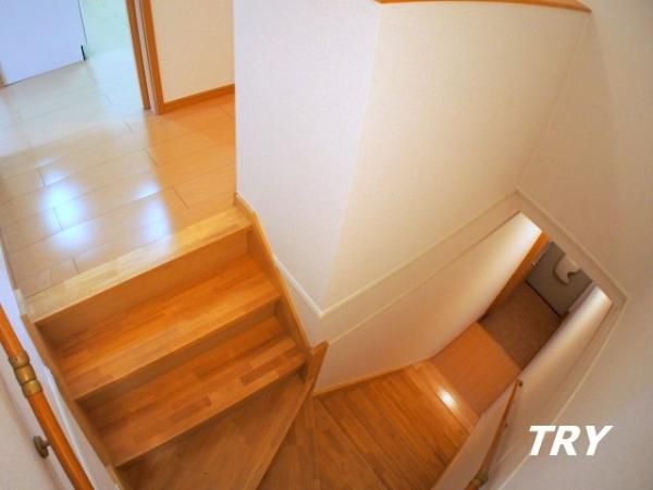 �y���̑������E�X�y�[�X�z�@�K�i