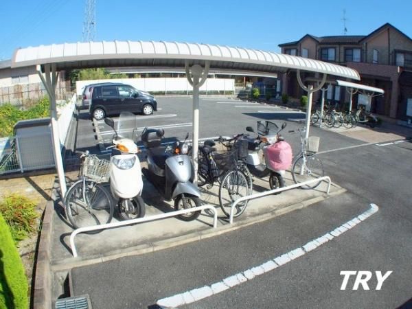 �y���̑����L�����z�@