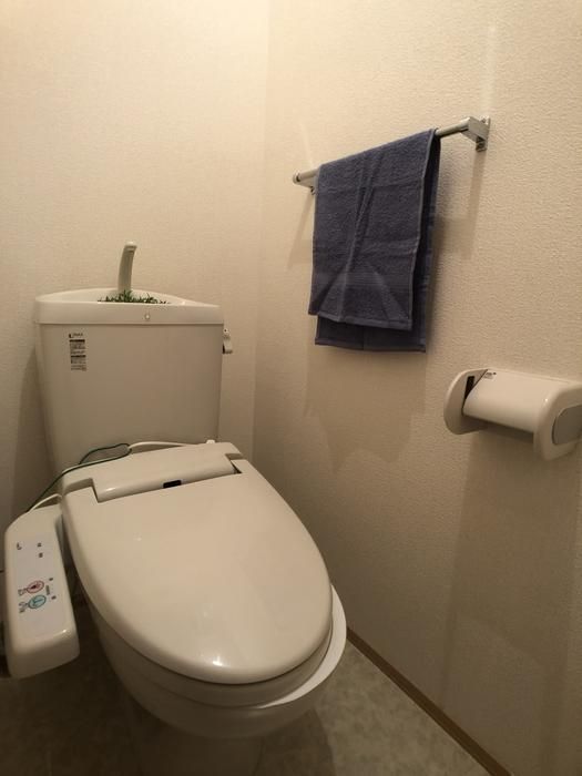 �y�g�C���z�@