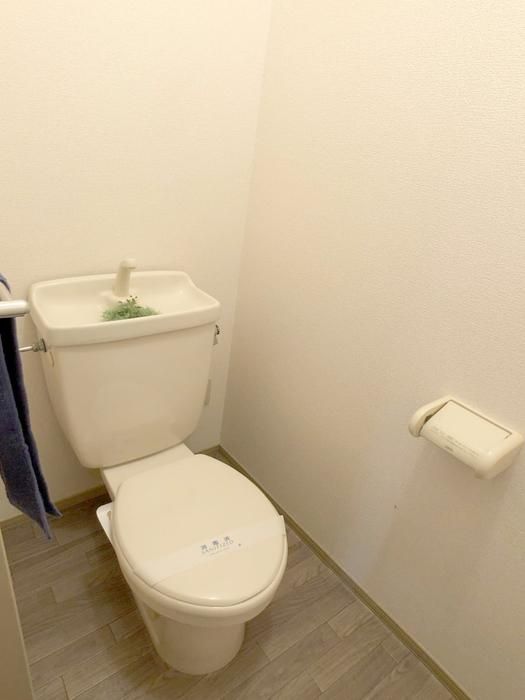 �y�g�C���z�@