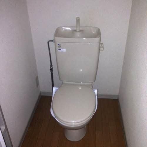 �y�g�C���z�@