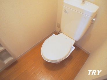 �y���̑��z�@�g�C��