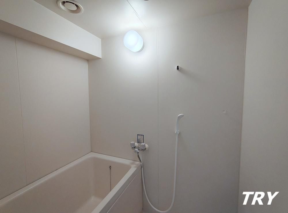 �y�o�X�z�@