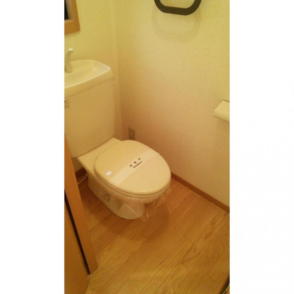 �y�g�C���z�@