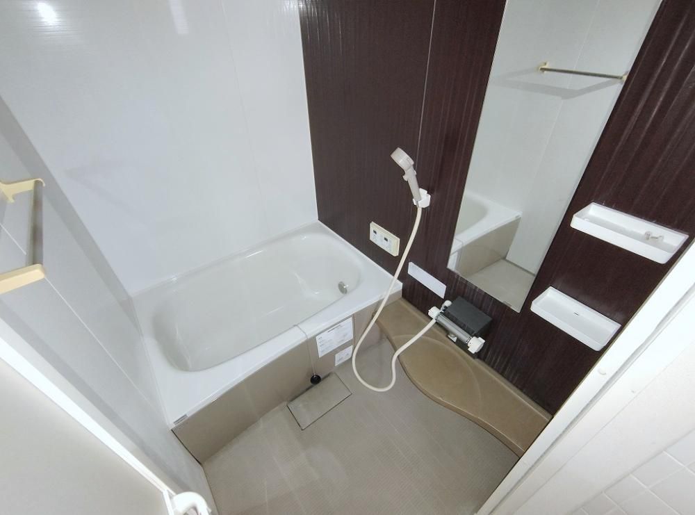 �y�o�X�z�@