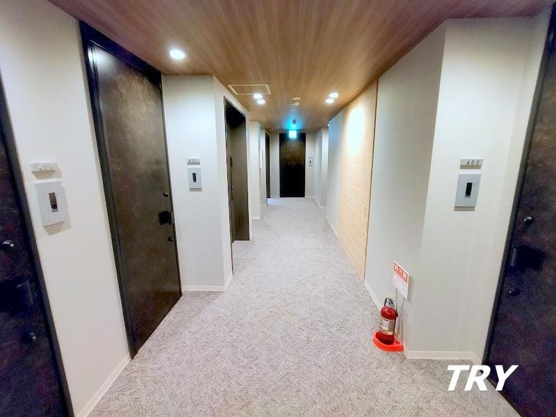 �y���̑����L�����z�@