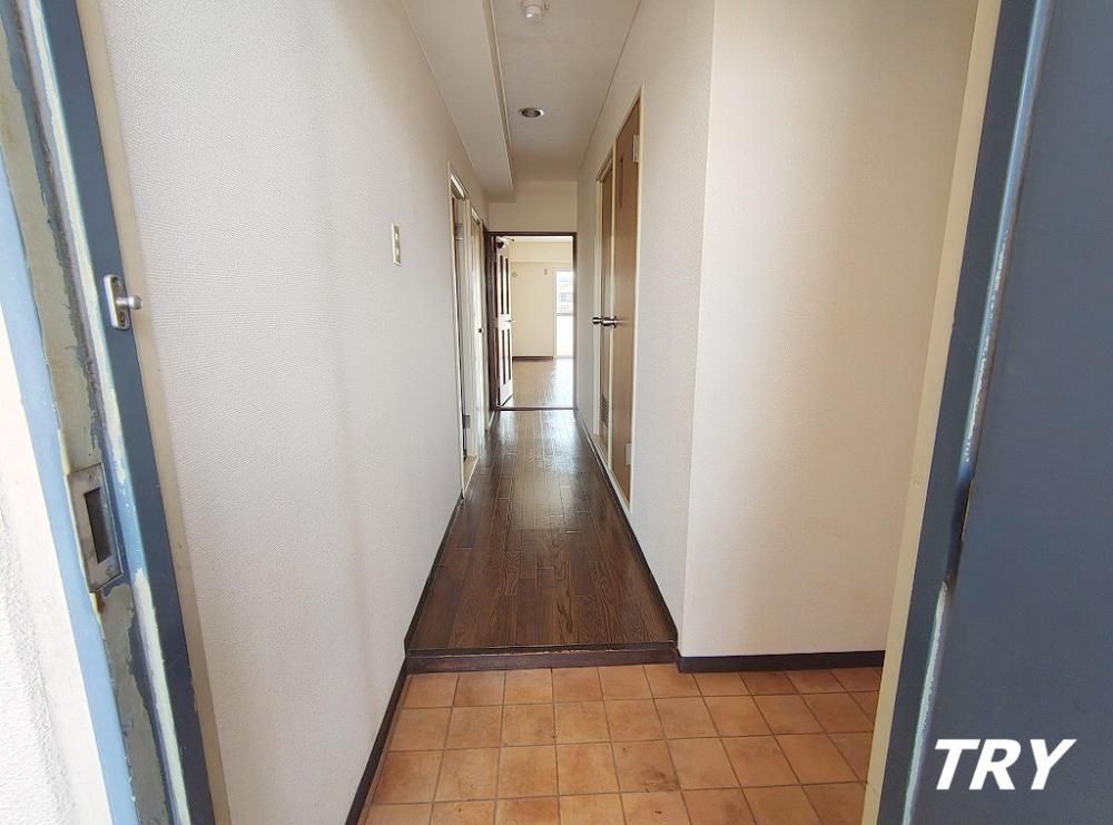 �y���ցz�@