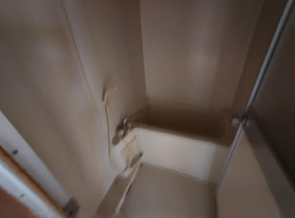 �y�o�X�z�@