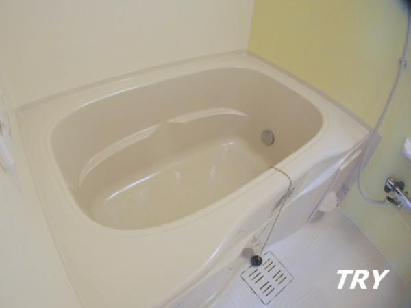 �y�o�X�z�@