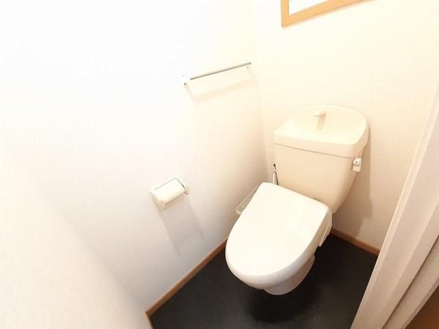 �y�g�C���z�@