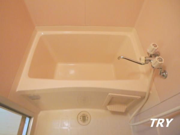 �y�o�X�z�@