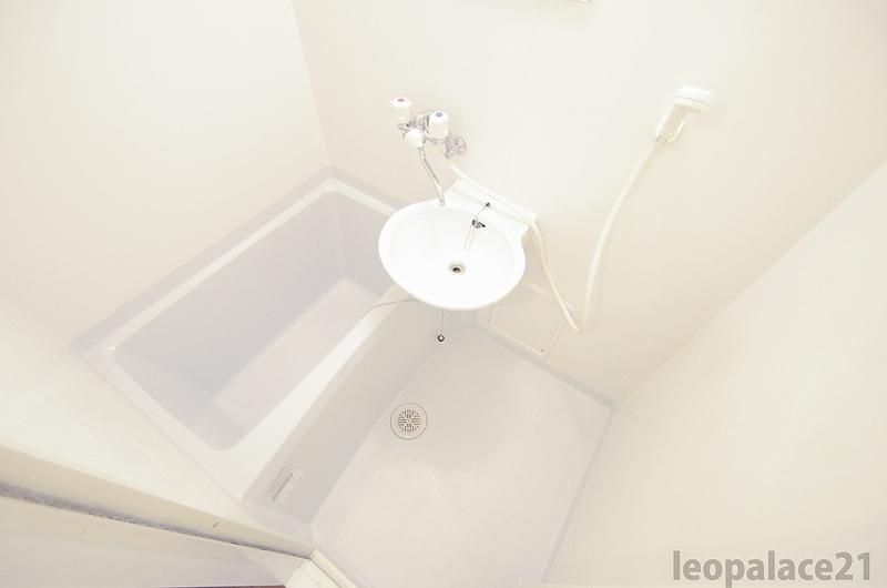 �y�o�X�z�@