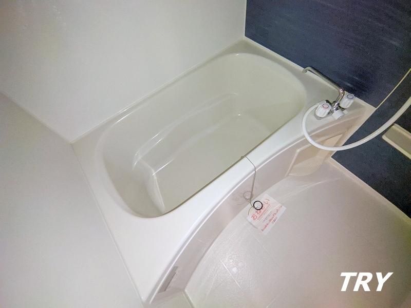 �y�o�X�z�@