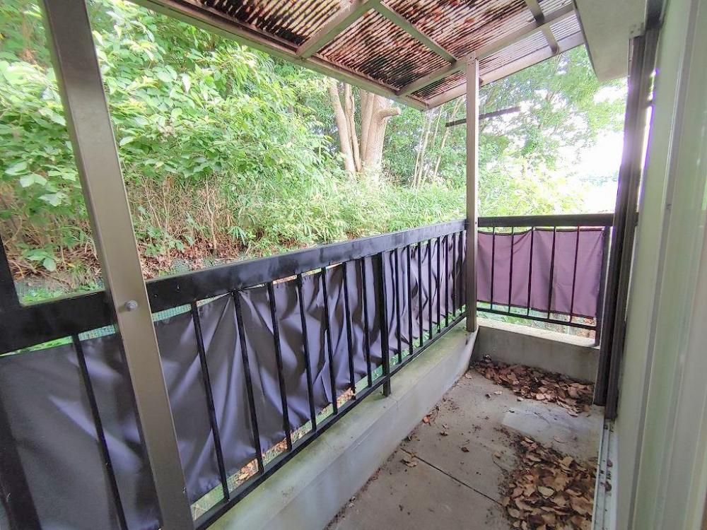 �y�o���R�j�[�z�@