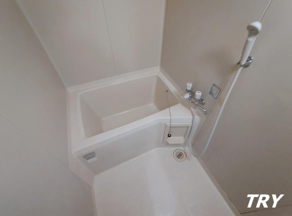 �y�o�X�z�@