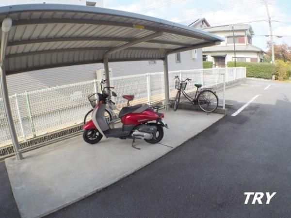 �y���̑����L�����z�@