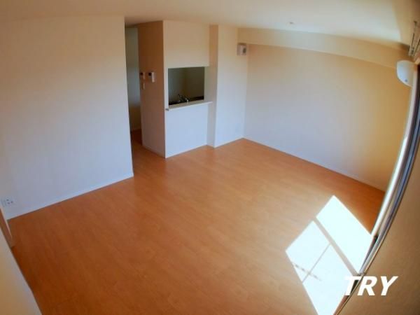 �y�����E���r���O�z�@���r���O�@14.5���@�G�A�R���t