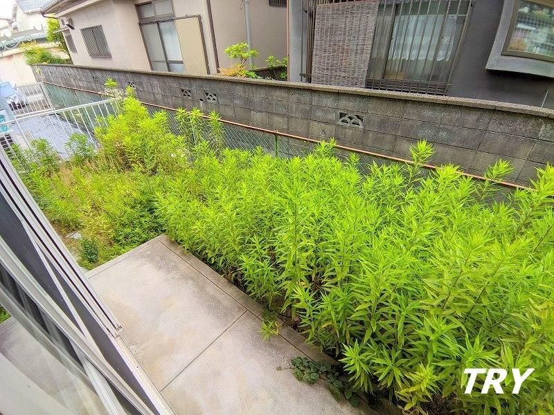 �y��z�@�e���X