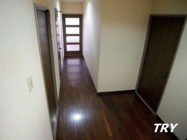 �y���̑����L�����z�@�L��