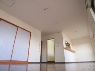 �y�����E���r���O�z�@17.4�����r���O