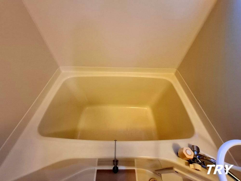 �y�o�X�z�@