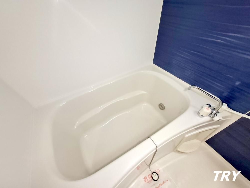 �y�o�X�z�@