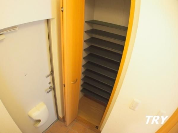 �y���[�z�@���ʔ�