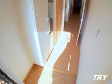 �y���ցz�@