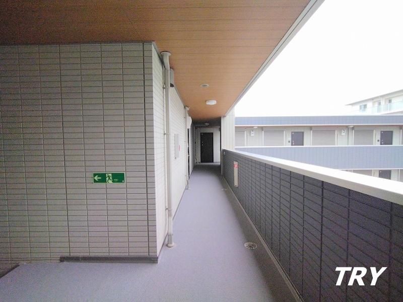 �y���̑����L�����z�@